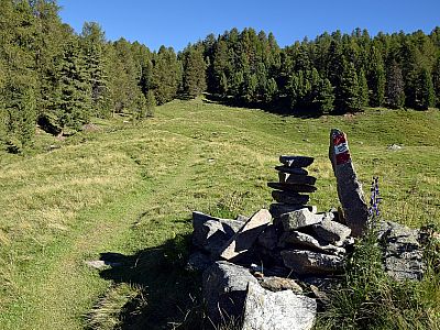 Die Almweiden kurz vor der Lyfialm