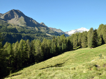 Schon bald zeigen sich die ersten Gletscher der Ortlergruppe