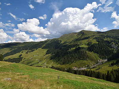 Wunderschön grün präsentieren sich die Hänge unterhalb des Sonnbergs