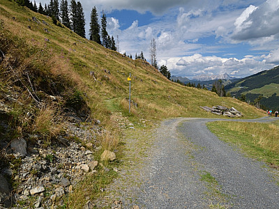 Hier halten wir uns leicht links und wechseln auf den Pfad
