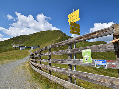 Wir wandern noch ein Stück auf den Hohe Penhab zu und biegen nach der Liftstation links ab