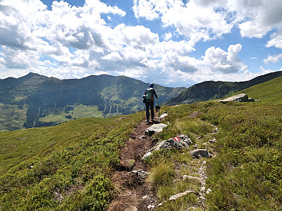 Auf dem Panoramaweg Schattberg wandern wir bequem östlich am Gipfel des Hohen Penhab vorbei