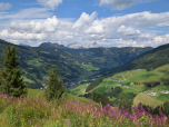 Noch einmal haben wir einen wunderschönen Blick auf Saalbach-Hinterglemm
