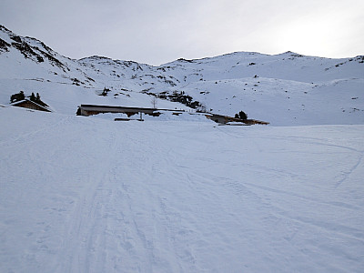 Wir erreichen den Viertelalm Hochleger
