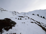 Noch finden wir eine Spur durch die aperen Almwiesen