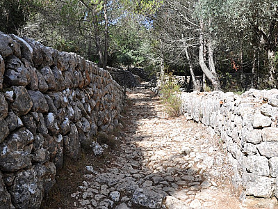 und uralten Terrassenanlagen.