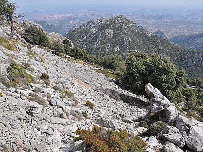 Puig de n' Ali  (1035 m)
