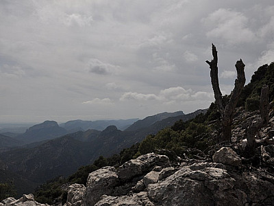 Blick nach Südwesten zum Puig des Tossals Verds (1115 m)
