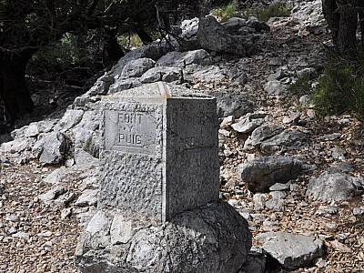 Wir erreichen wieder den Wanderweg