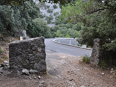 bis zur Straße folgen.