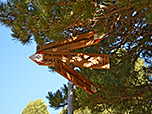 ...und schlagen den direkten Weg zum Maurerberg ein
