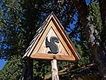 Vorsicht, bissige Eichhörnchen