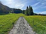 ...biegen wir in einen Forstweg ein, ...