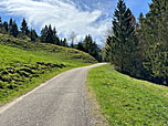 ...aus dem Bergwald hinaus