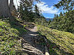 ...schlagen wir den Wanderweg ein, ...