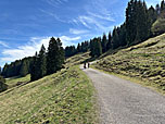 Weiter gehts auf dem breiten Teerweg