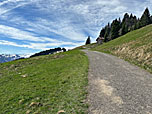 Endspurt zum Gipfelwirt