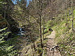 ...über den Steigbachtobelweg