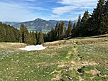 Mit Blick auf den Grünten wandern wir auf einem Wiesenpfad abwärts