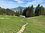 Wir wandern über die Weiden abwärts...