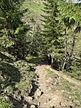 ...und erreichen ein Waldstück