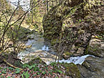 ...leitet uns zum Steigbach hinab