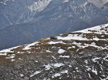 Die Tirolerhütte