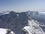 Reifhorn
