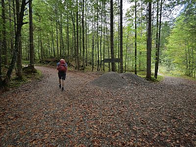 Links, leicht ansteigend ... 