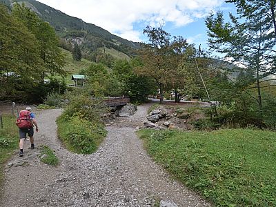 ... wandern wir zurück zur Griesner Alm.