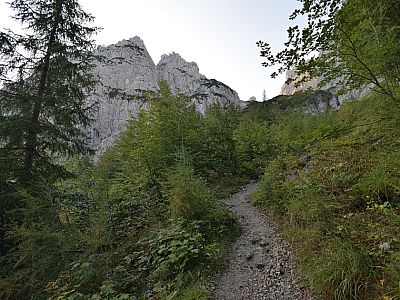 ... bevor dieser lichter wird.