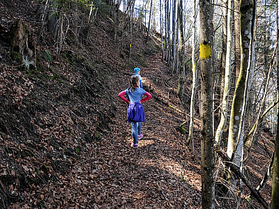 Durch den Wald erreichen wir schließlich ein ...