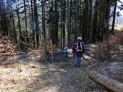 .. an der Forststraße rechts. 