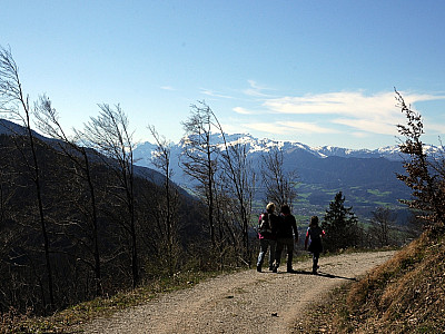 Wir wandern wieder ein Stück nach Westen auf das Inntal zu