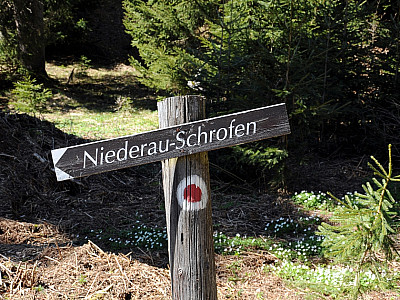 Der Wegweiser nach Niederau Schrofen