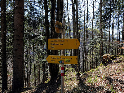 Zunächst bleiben wir auf dem Fahrweg und folgen dem Wegweiser ...