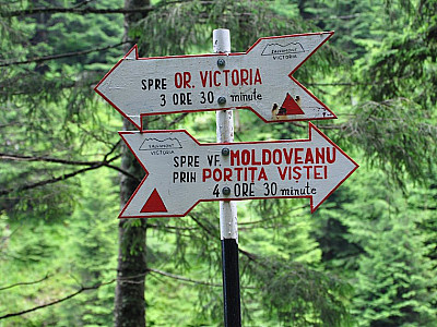 Trotzdem noch über 4 Stunden zum Gipfel des Moldoveanu