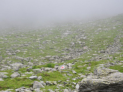 Gut markierter Weg im Nebel