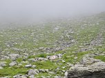 Gut markierter Weg im Nebel