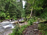 Im schattigen Wald gewinnen wir an Höhe