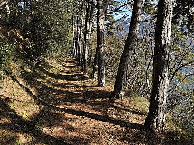 Leicht bergab marschieren wir nach Nordosten