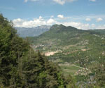 Calisio