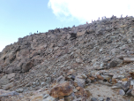 Der Gipfel des Monte Cinto ist gut besucht