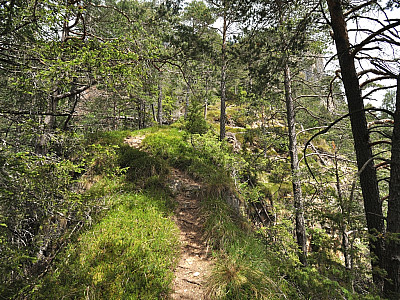 Steil steigen wir nach Nordosten auf