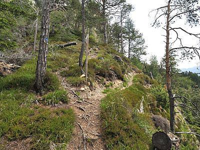 Hier bleiben wir wieder auf den oberen, linken Weg