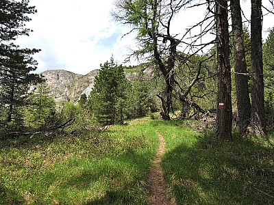 Der Weg wird allmählich flacher