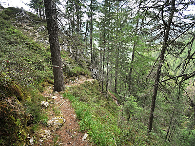 Steil geht es in zahlreichen Serpentinen durch den Wald