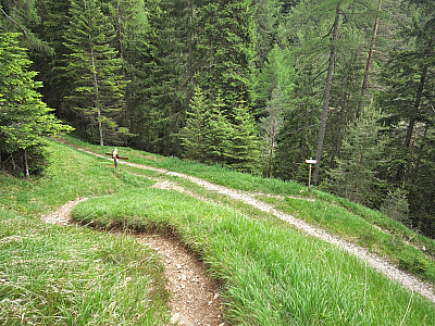 In den Wirtschaftsweg biegen wir links ein