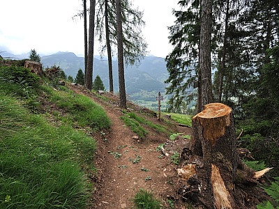 Hier treffen wir wieder auf den Aufstiegsweg...