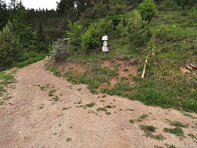 Wir überqueren einen Wirtschaftsweg und marschieren weiter auf dem Weg 518